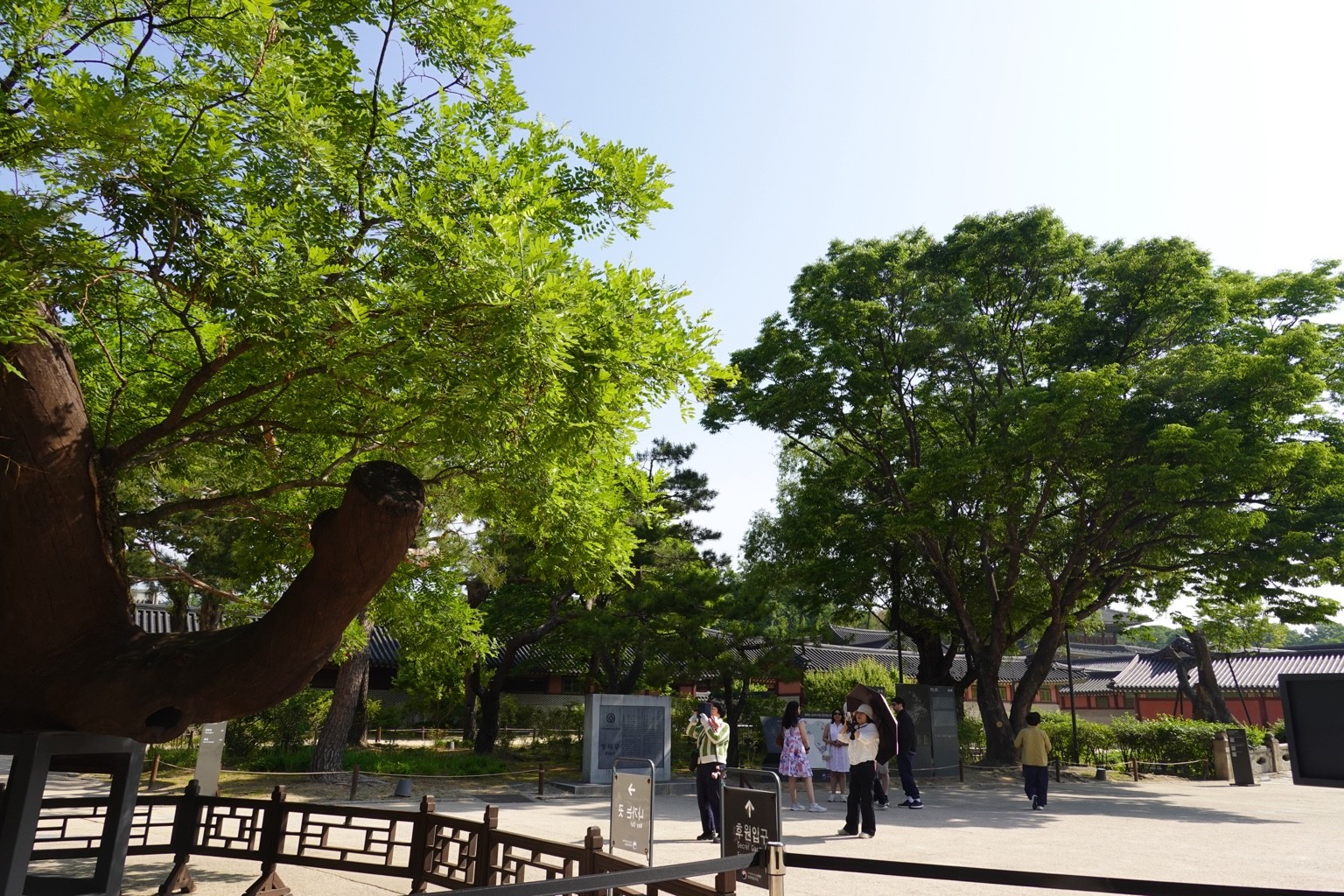 창덕궁 — 3