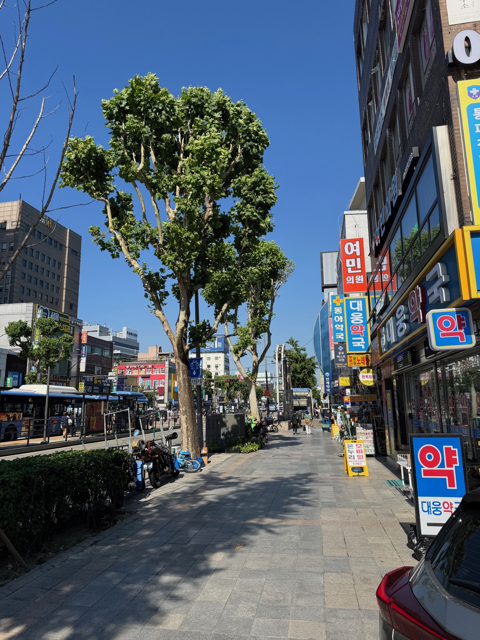 광장시장 — 3